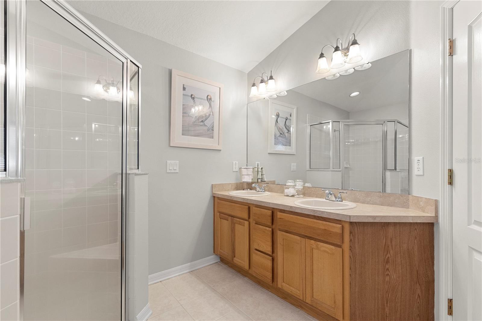 3911 LANGDRUM DR, WESLEY CHAPEL, FL, 33543