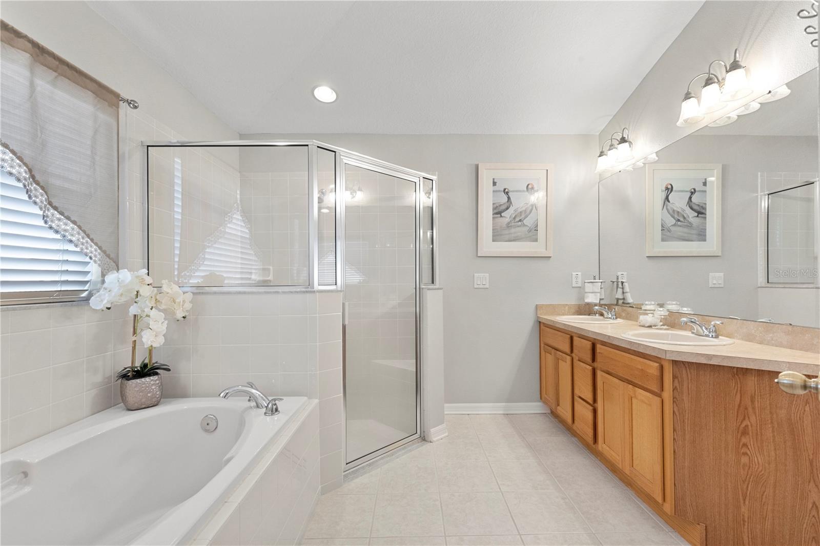 3911 LANGDRUM DR, WESLEY CHAPEL, FL, 33543
