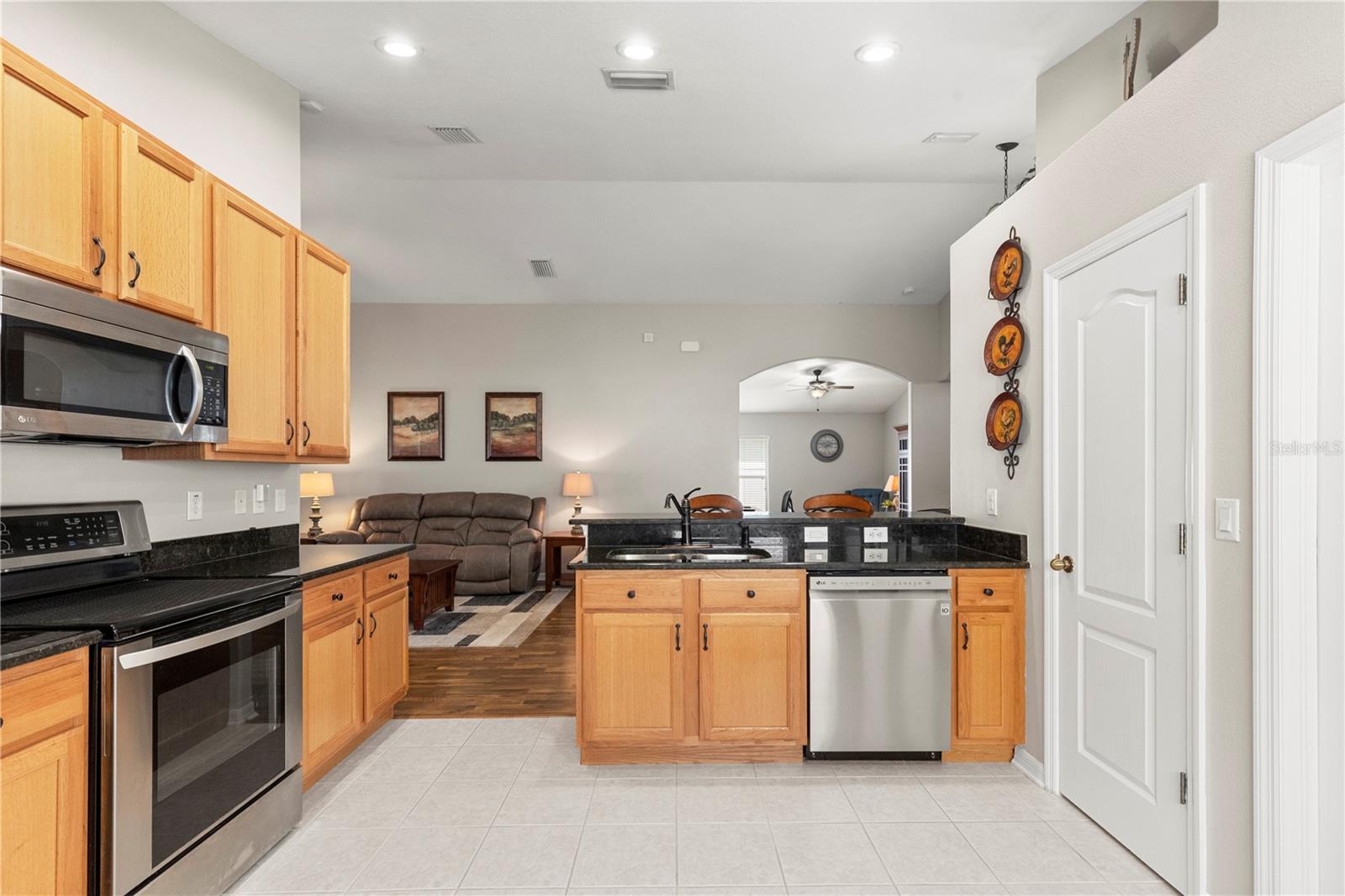 3911 LANGDRUM DR, WESLEY CHAPEL, FL, 33543