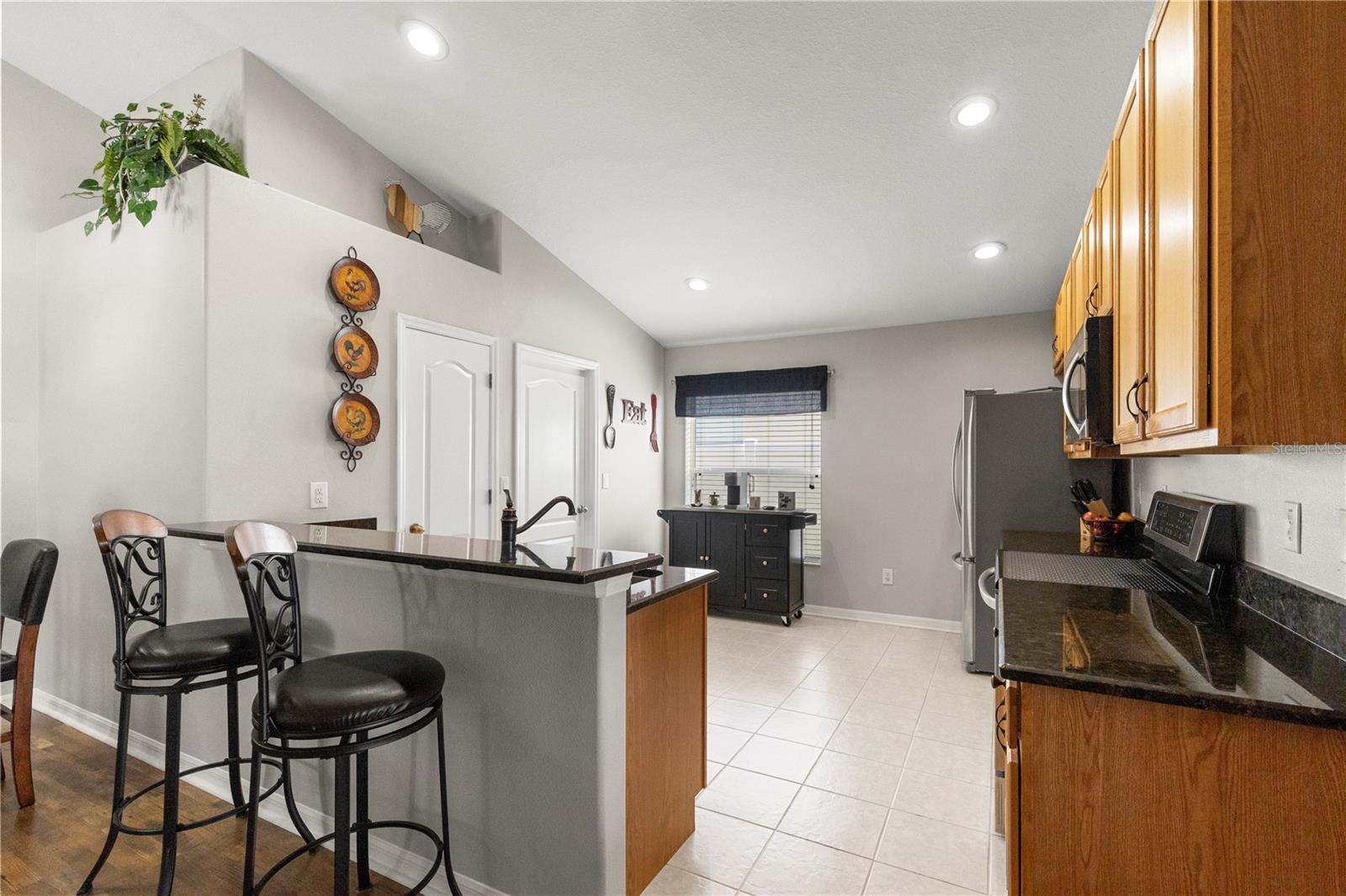 3911 LANGDRUM DR, WESLEY CHAPEL, FL, 33543