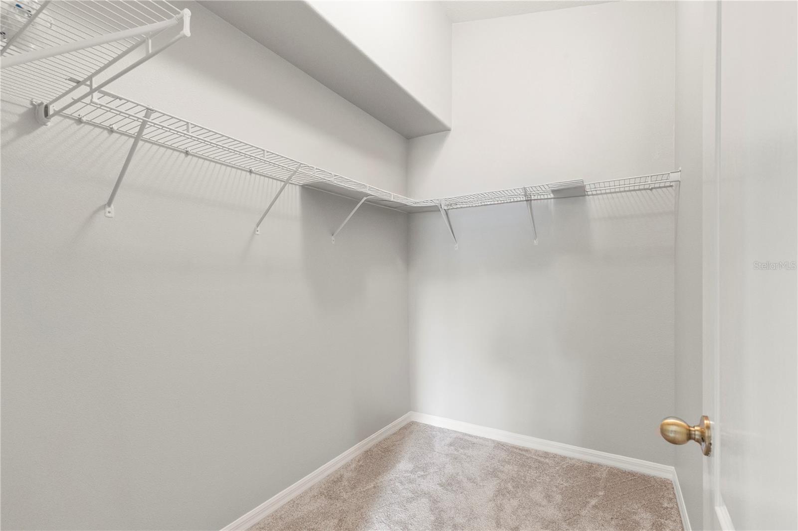 3911 LANGDRUM DR, WESLEY CHAPEL, FL, 33543