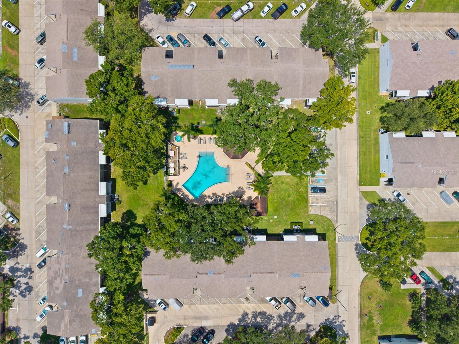 3808 N OAK DR #U31, TAMPA, FL, 33611