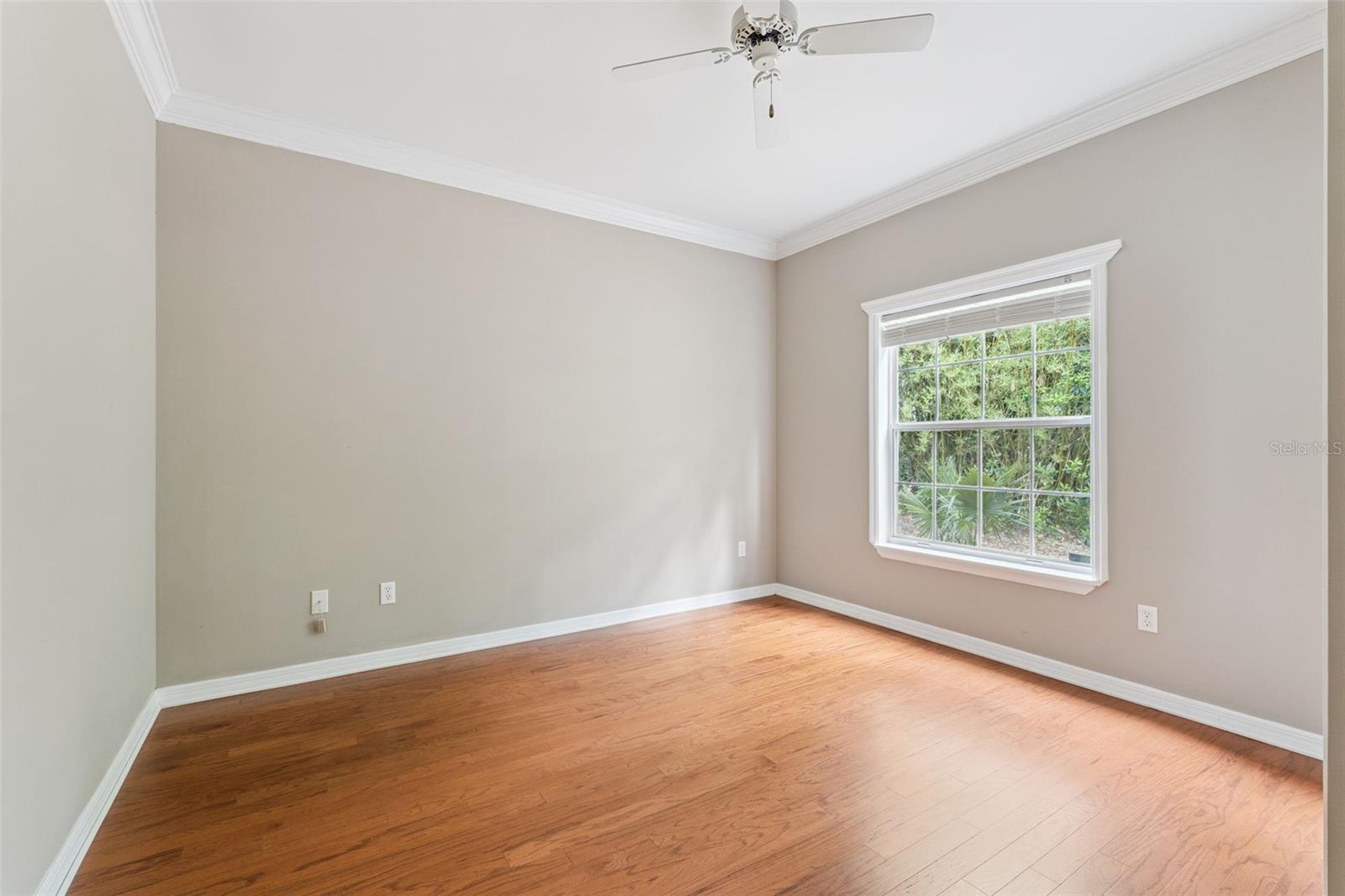 317 CROOKED TREE TRL, DELAND, FL, 32724