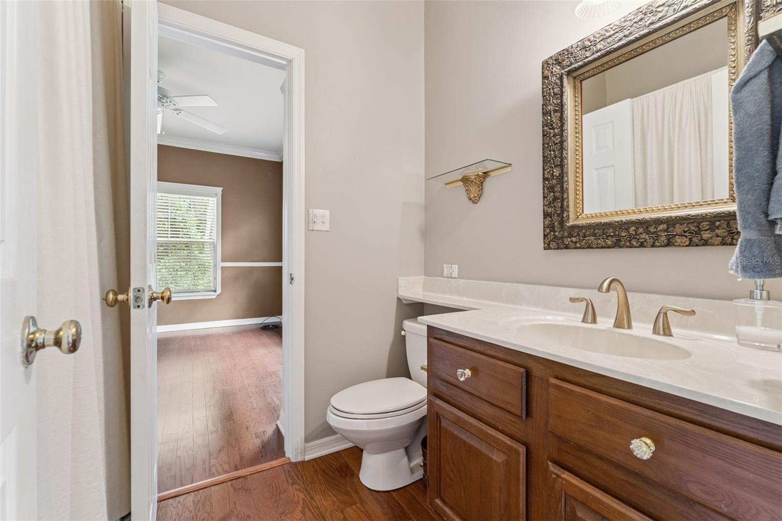317 CROOKED TREE TRL, DELAND, FL, 32724