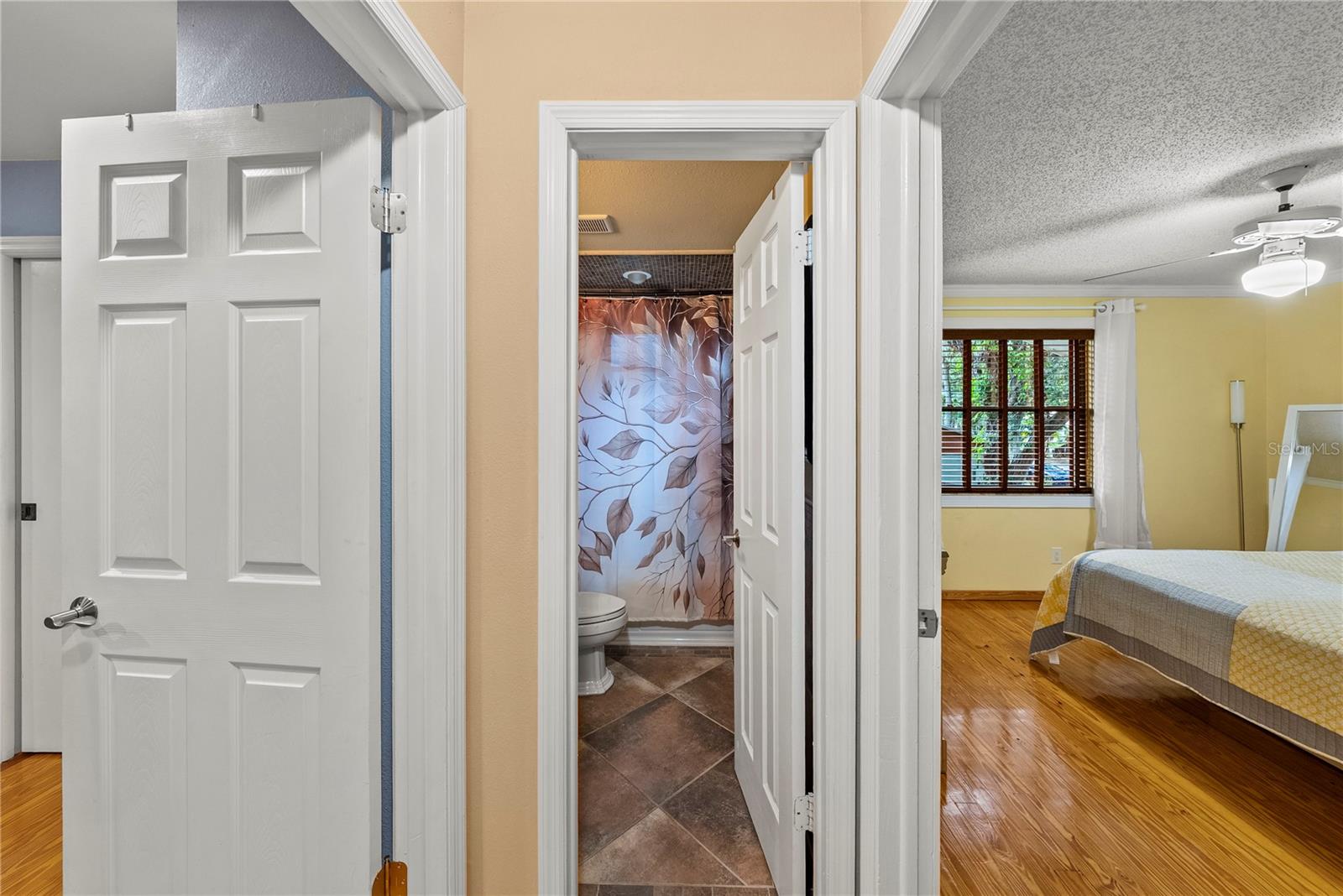 2503 HIGH OAKS LN, LUTZ, FL, 33559