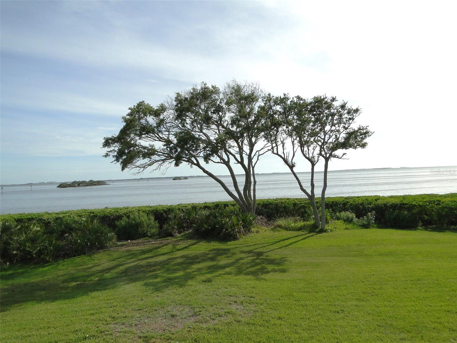 1814 MARINER DR #159, TARPON SPRINGS, FL, 34689