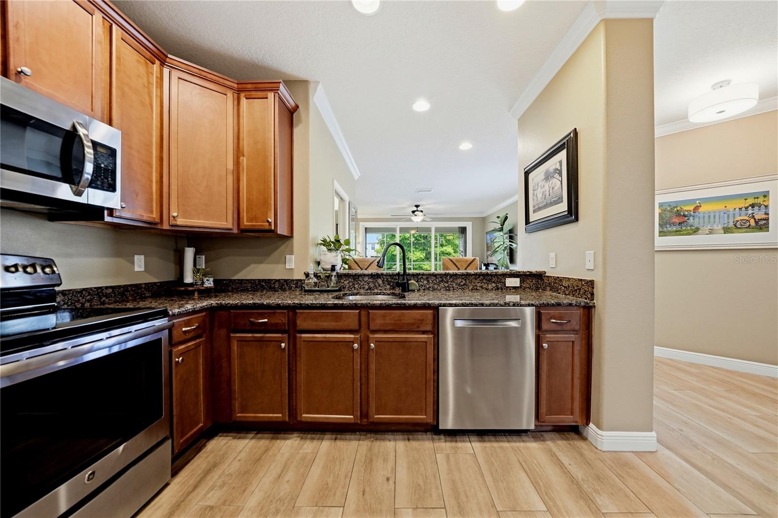 497 HARBOR RIDGE DR, PALM HARBOR, FL, 34683