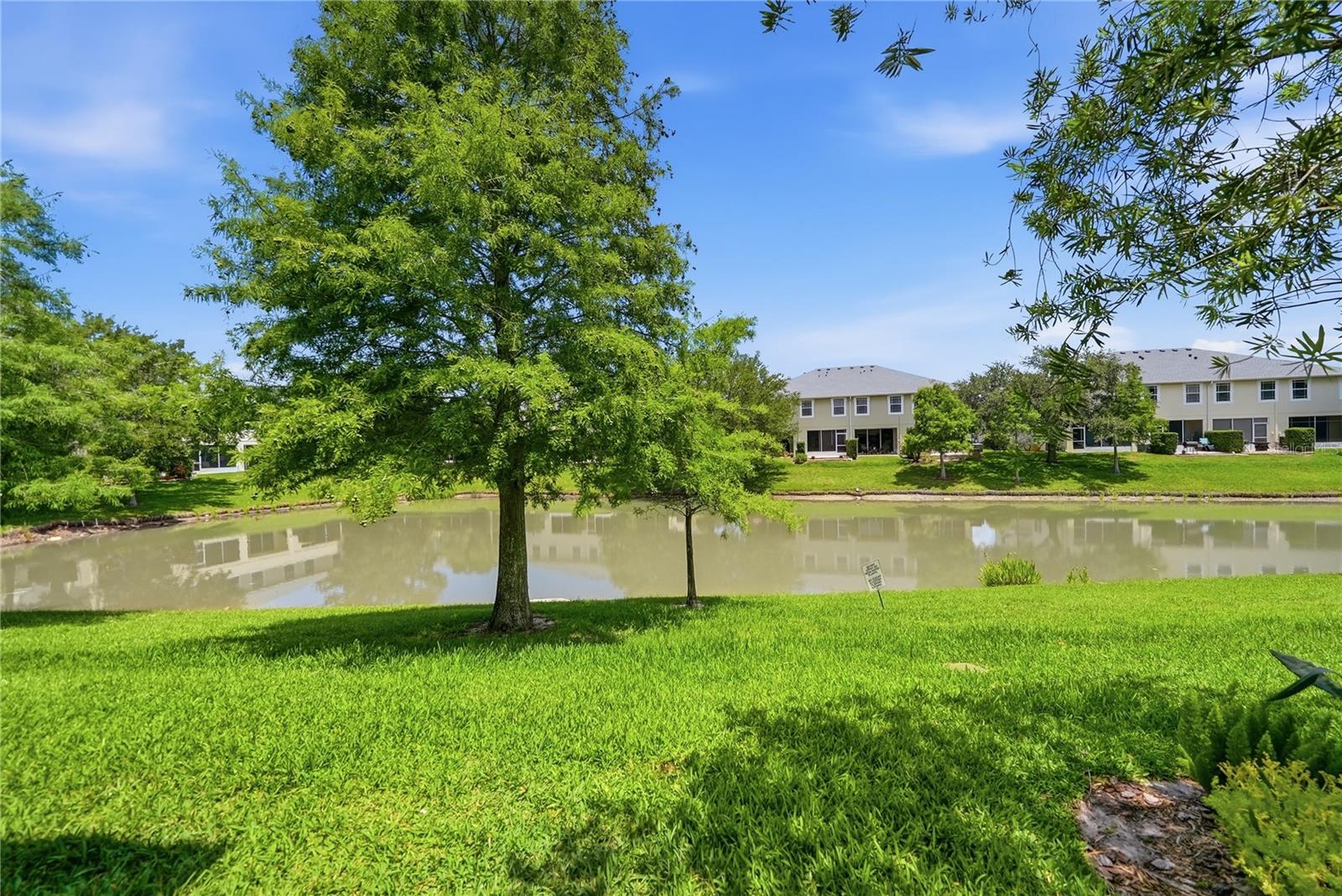497 HARBOR RIDGE DR, PALM HARBOR, FL, 34683