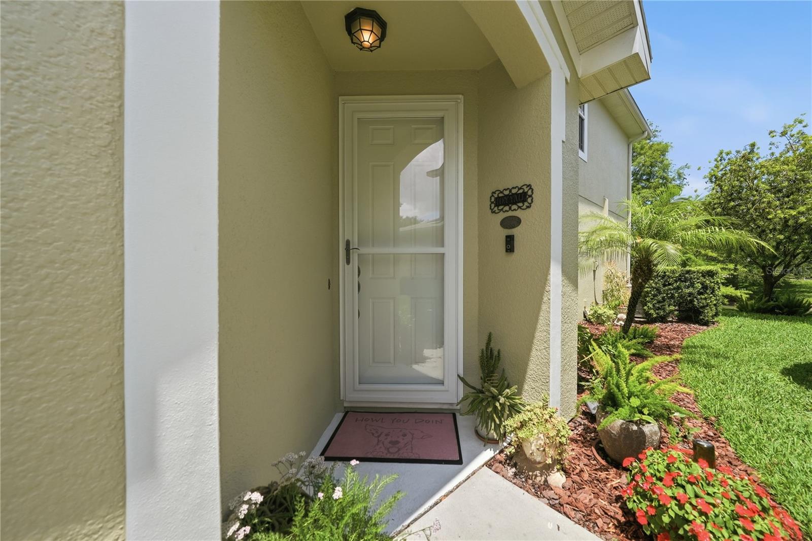 497 HARBOR RIDGE DR, PALM HARBOR, FL, 34683