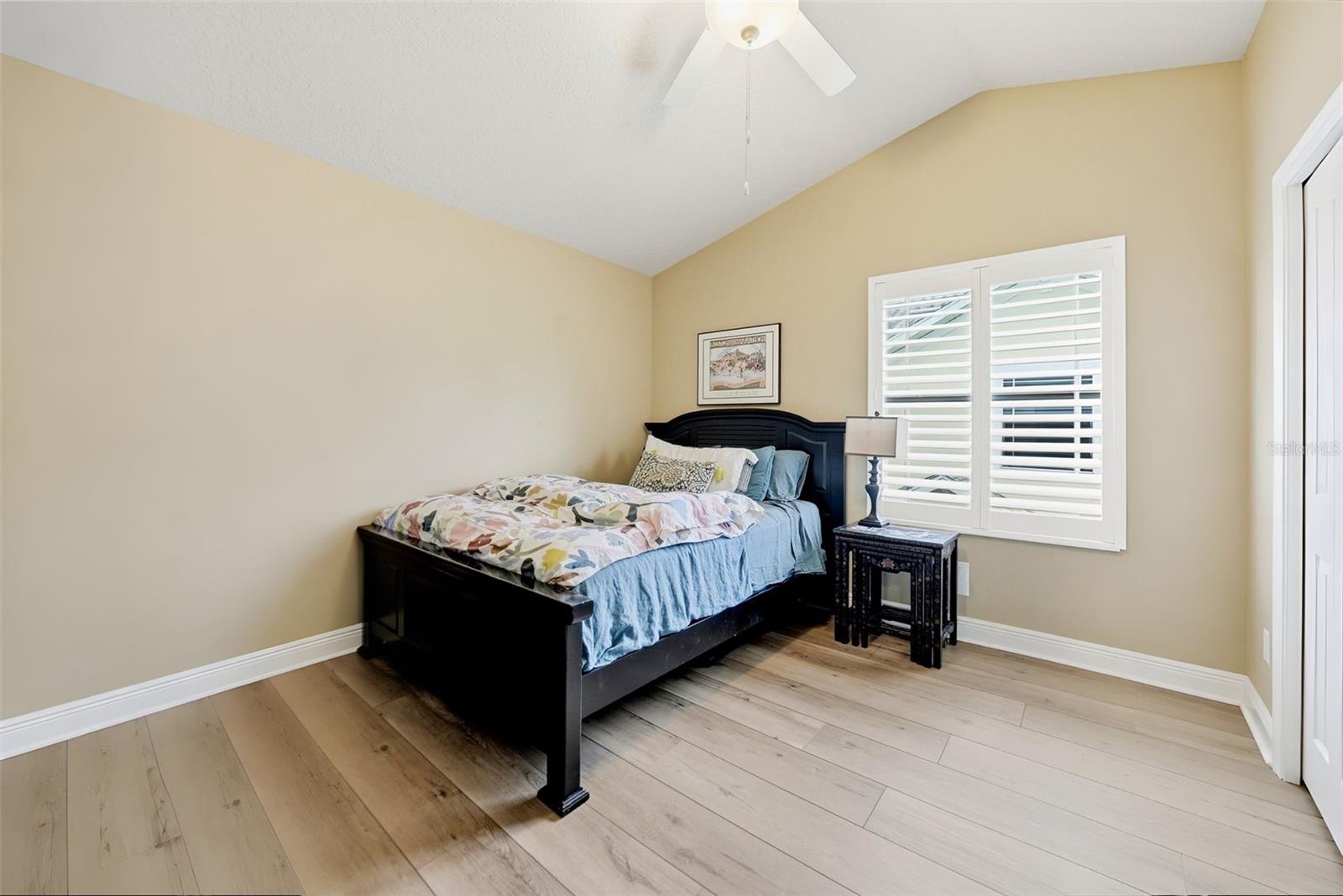 497 HARBOR RIDGE DR, PALM HARBOR, FL, 34683