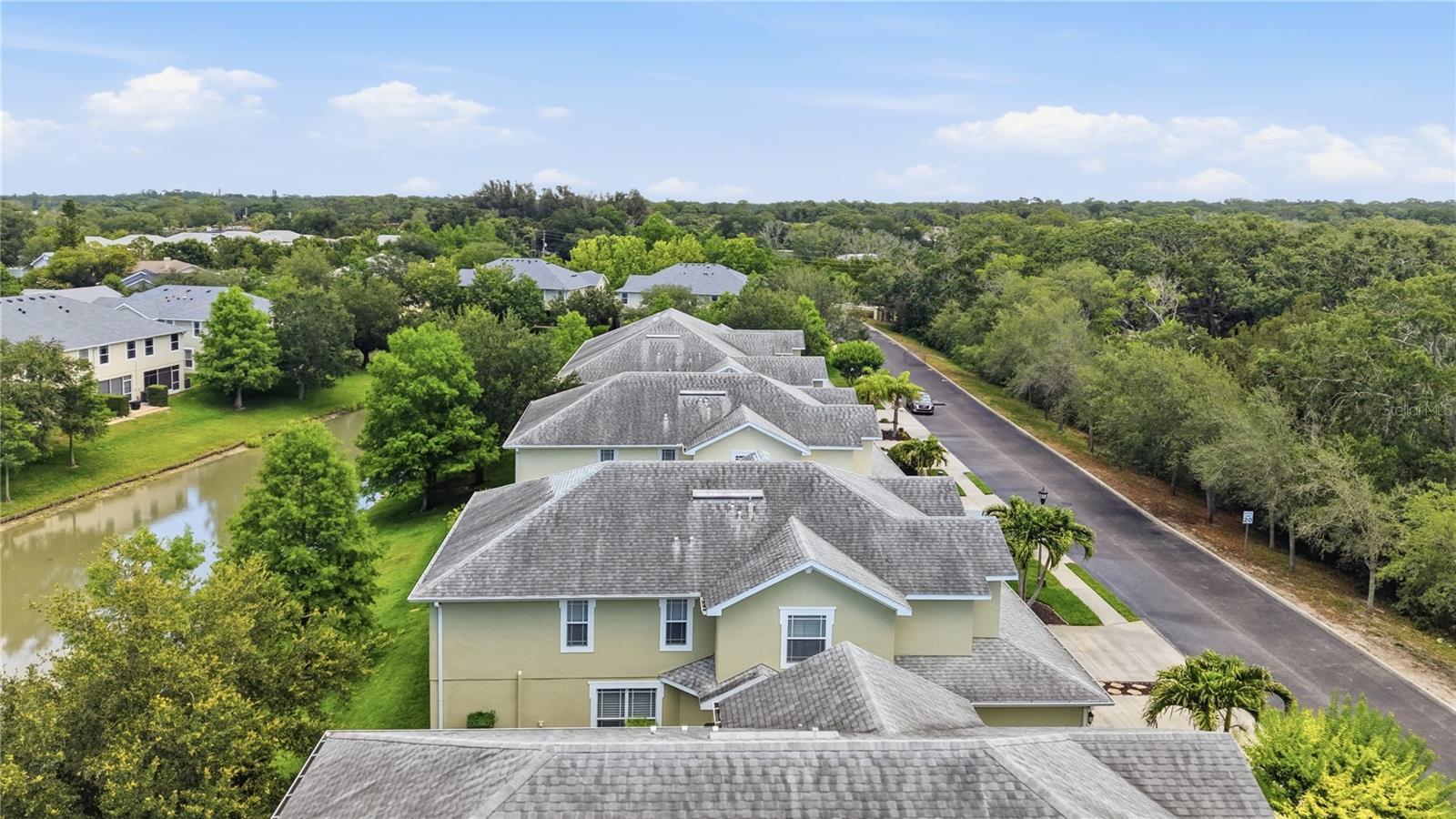 497 HARBOR RIDGE DR, PALM HARBOR, FL, 34683