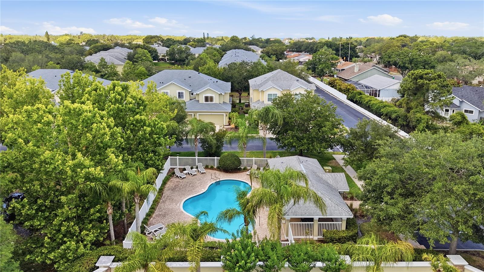 497 HARBOR RIDGE DR, PALM HARBOR, FL, 34683
