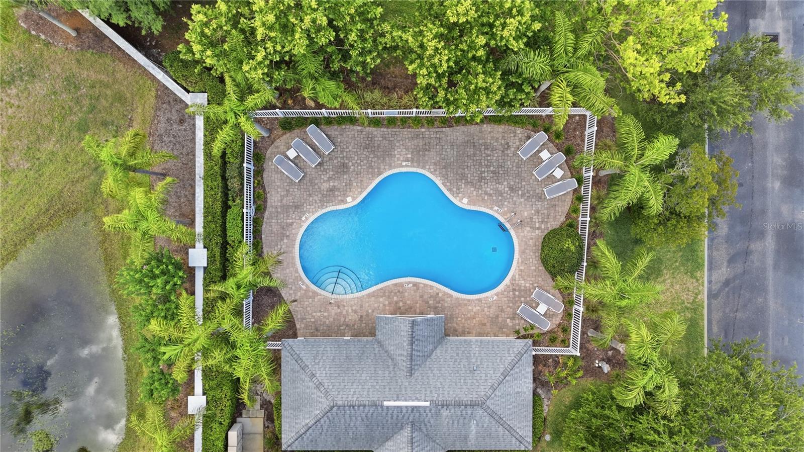 497 HARBOR RIDGE DR, PALM HARBOR, FL, 34683