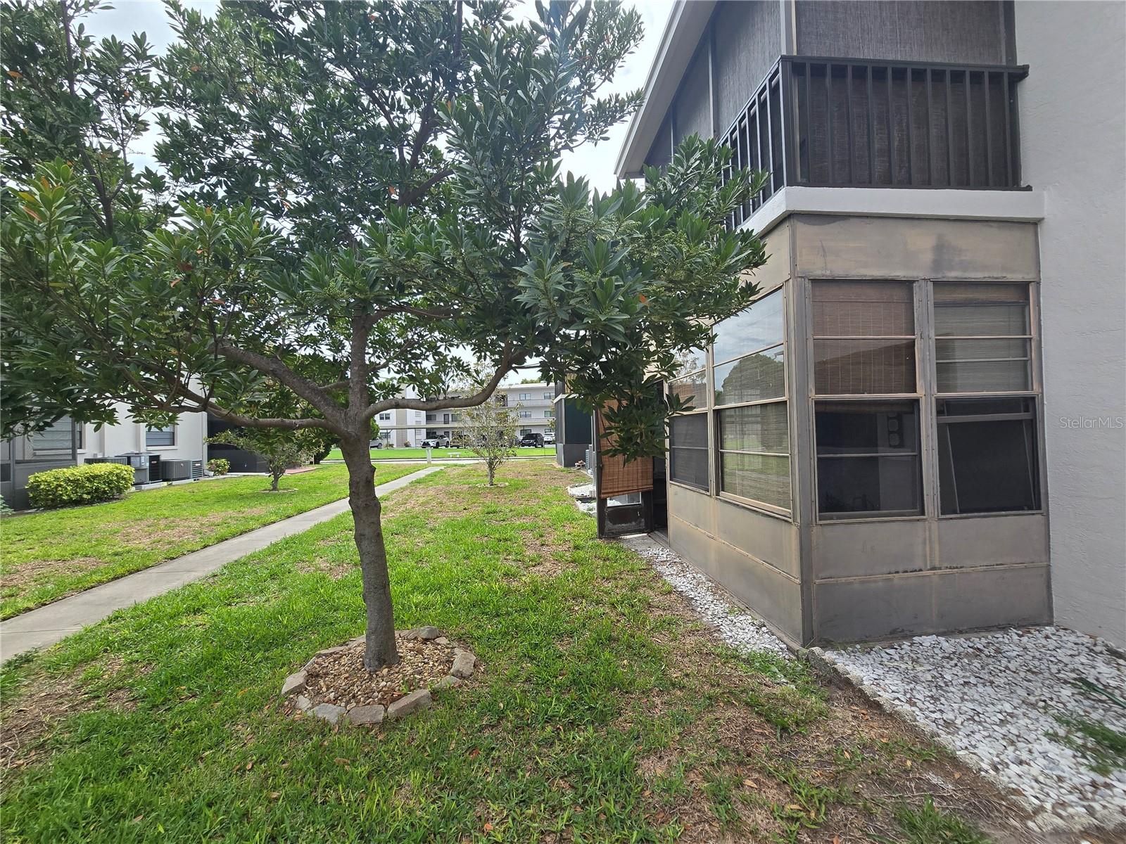 5967 TERRACE PARK DR N #103, ST PETERSBURG, FL, 33709