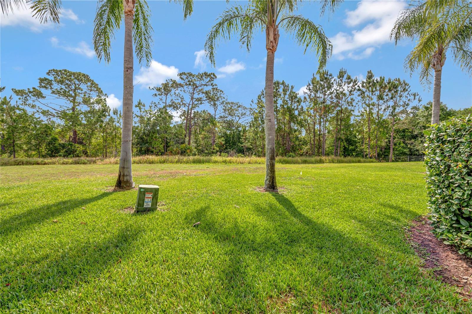 3050 WHITE ORCHID RD, KISSIMMEE, FL, 34747