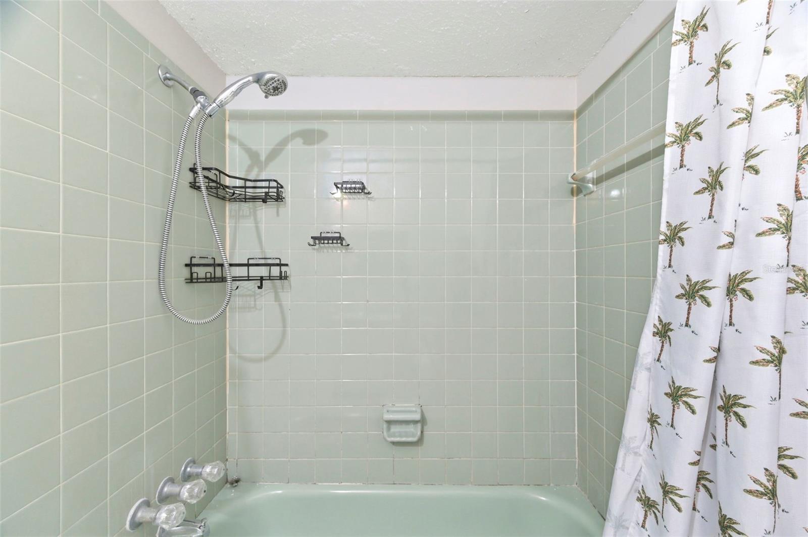 8124 OMAHA CIR, SPRING HILL, FL, 34606