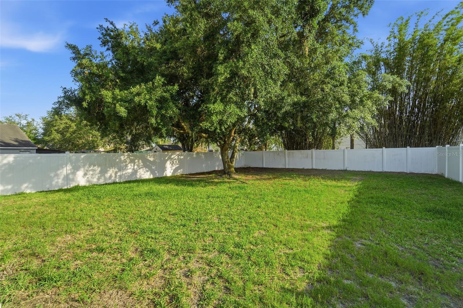18124 SAXONY LN, ORLANDO, FL, 32820