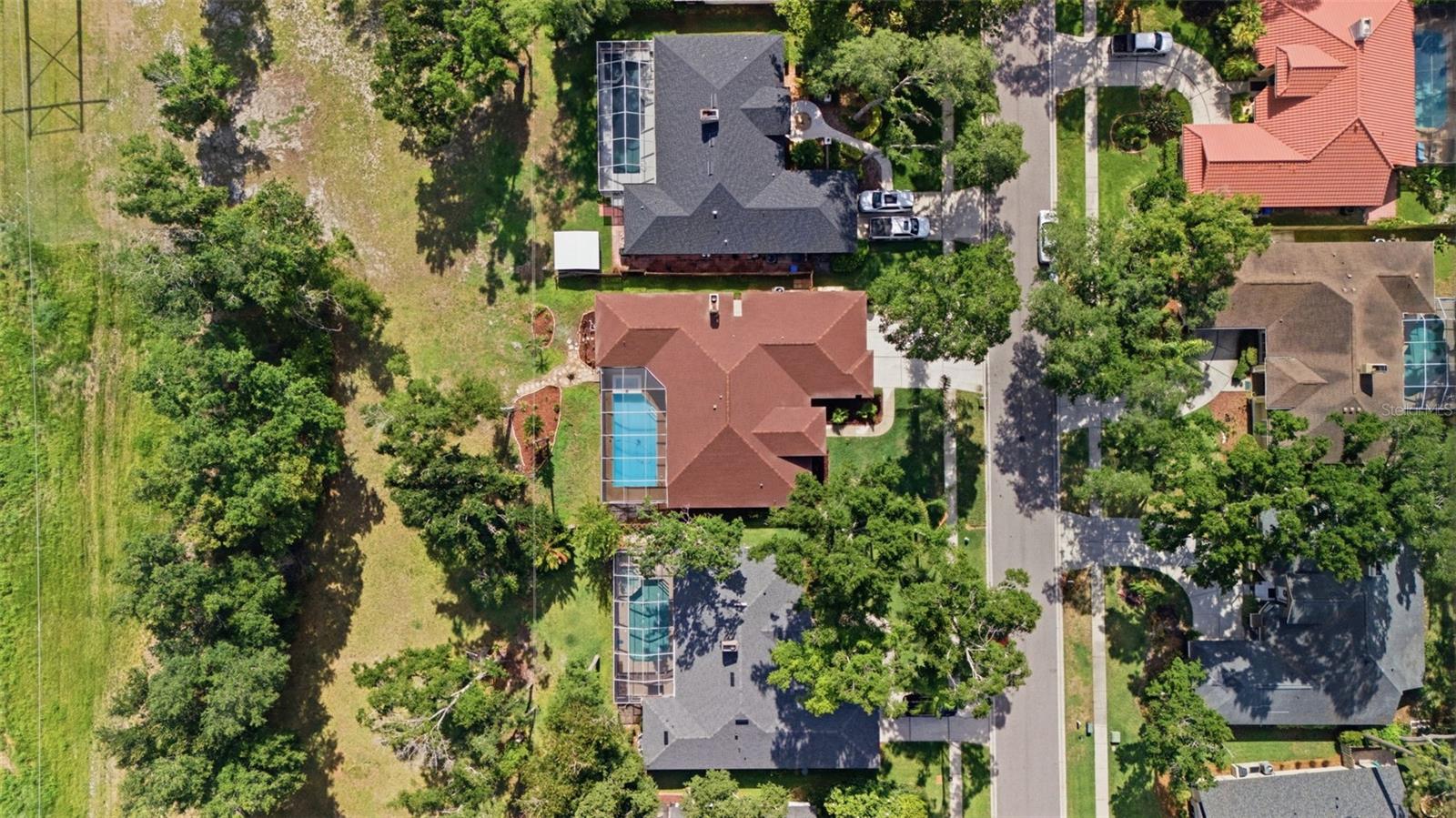 504 STRATFIELD DR, LUTZ, FL, 33549