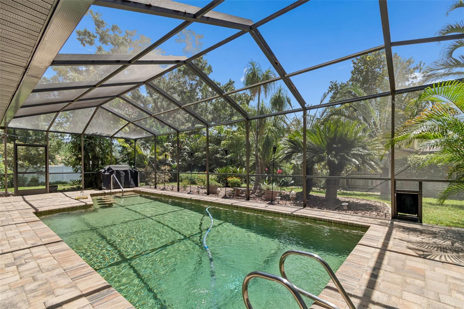 3034 ENISGLEN DR, PALM HARBOR, FL, 34683