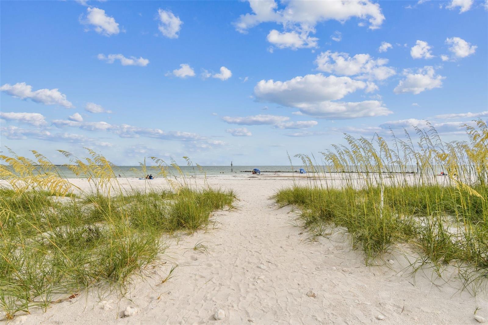 3034 ENISGLEN DR, PALM HARBOR, FL, 34683