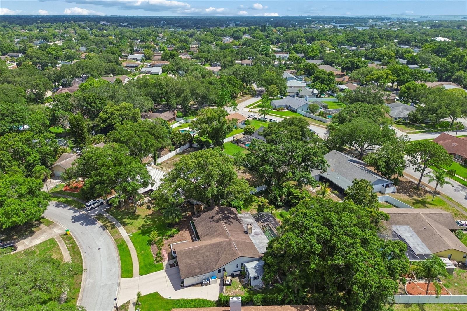 3034 ENISGLEN DR, PALM HARBOR, FL, 34683