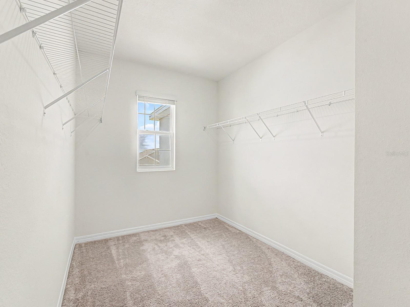 31448 PENNY SURF LOOP, WESLEY CHAPEL, FL, 33545
