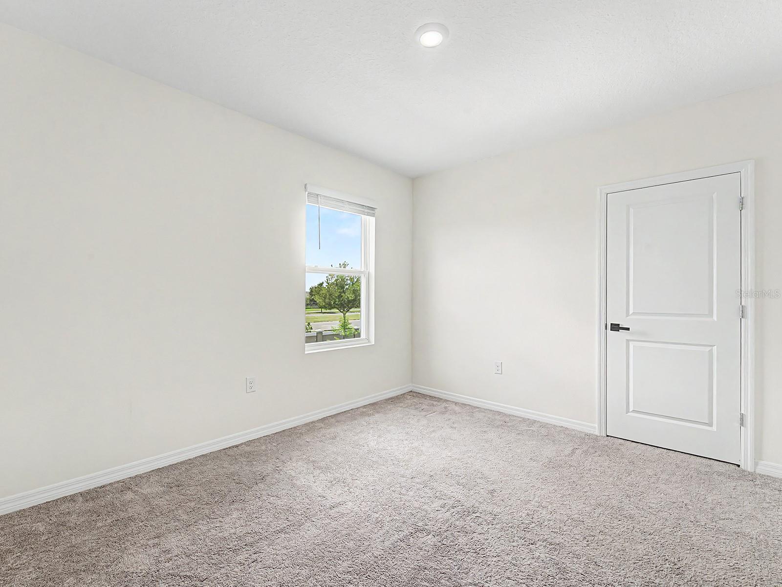 31448 PENNY SURF LOOP, WESLEY CHAPEL, FL, 33545