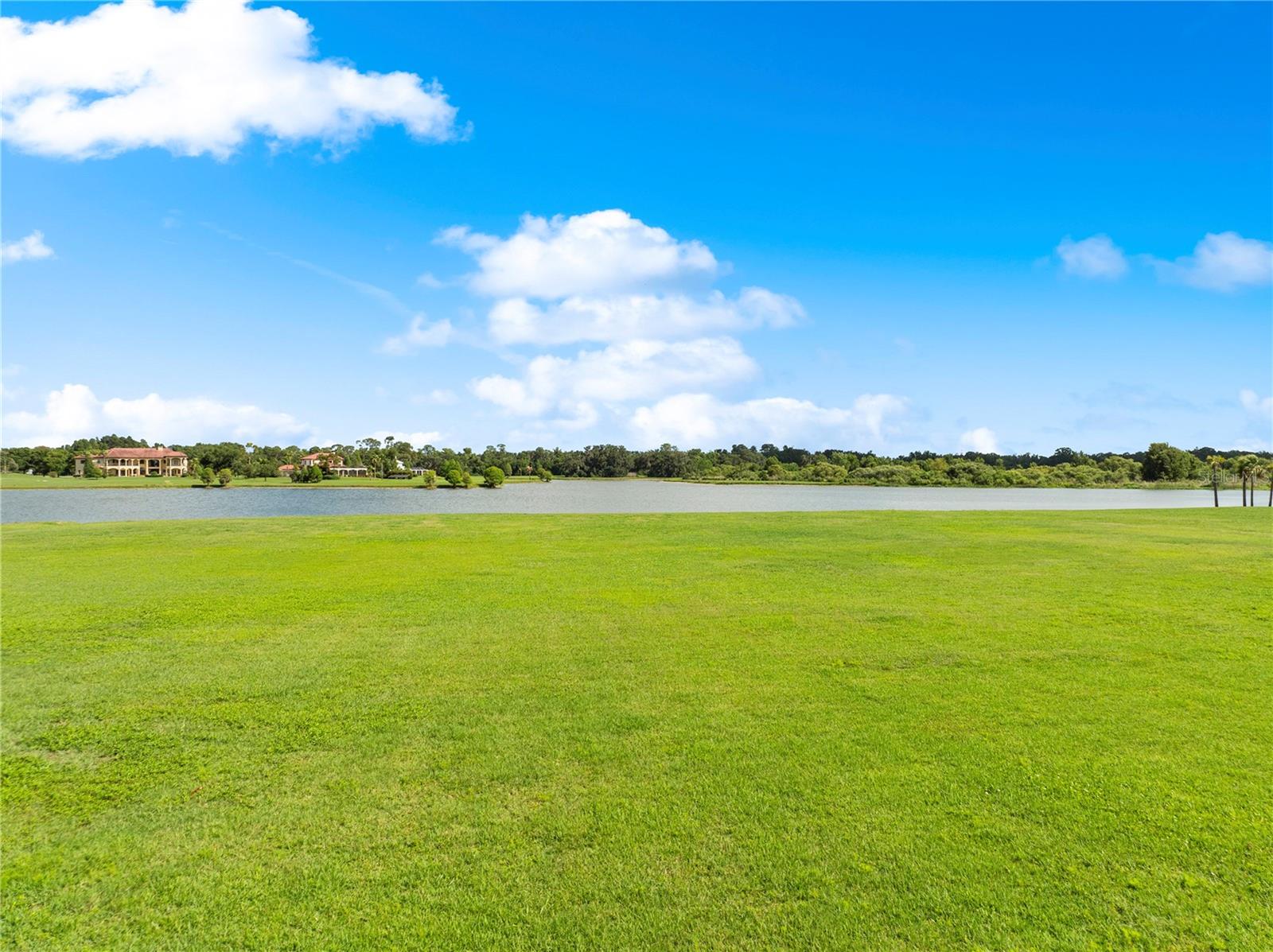 12306 STONELAKE RANCH BLVD, THONOTOSASSA, FL, 33592