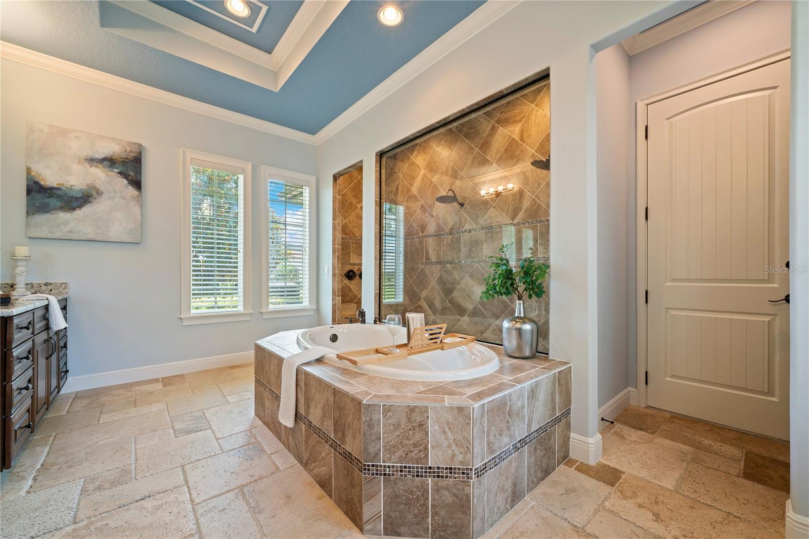 12306 STONELAKE RANCH BLVD, THONOTOSASSA, FL, 33592