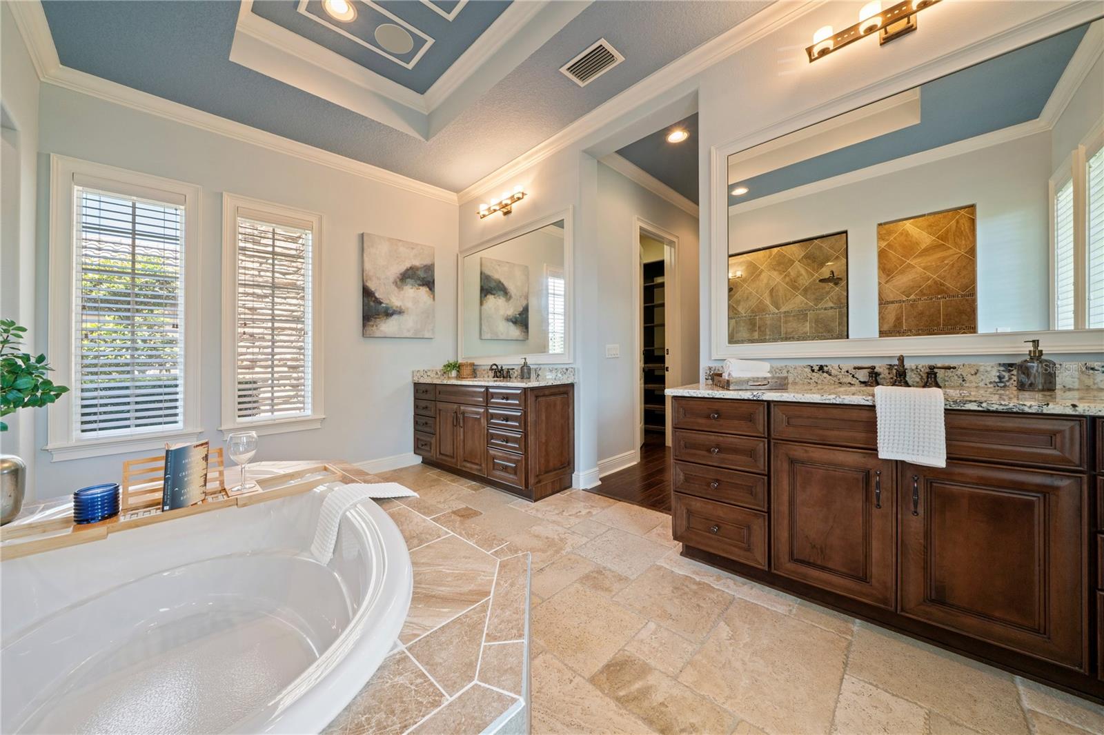 12306 STONELAKE RANCH BLVD, THONOTOSASSA, FL, 33592