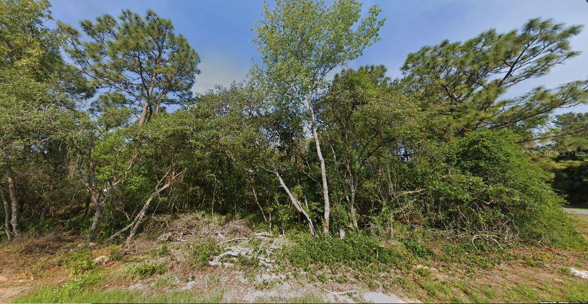 SW 133 LOOP, OCALA, FL, 34473