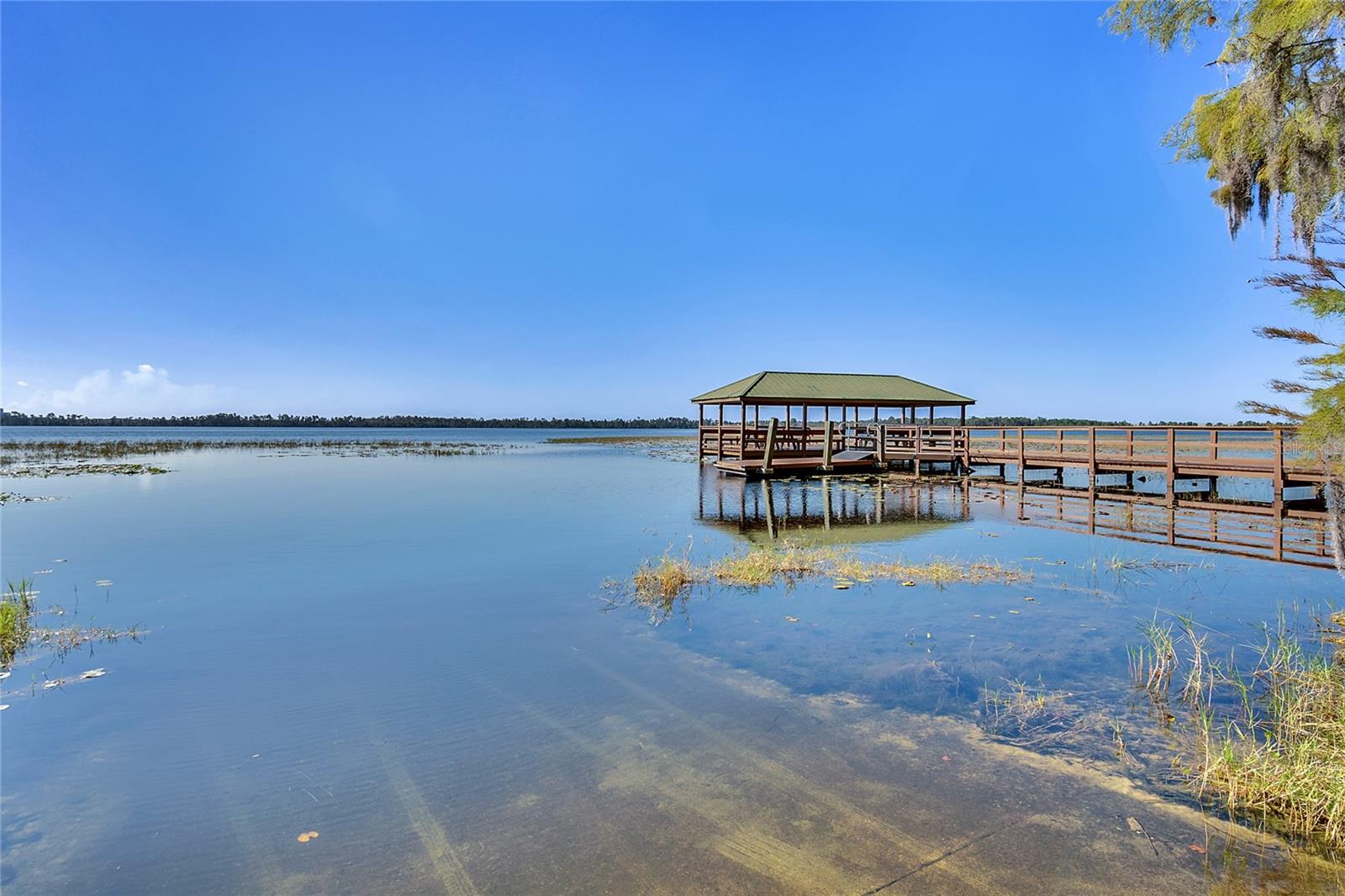 7964 EDGEWOOD FOREST DR, ORLANDO, FL, 32827
