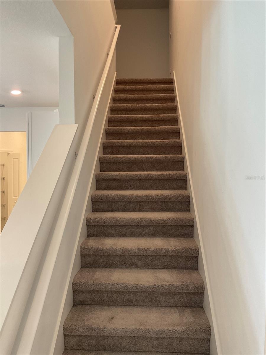 10380 LAVENDER ASTER TRL, SAN ANTONIO, FL, 33576