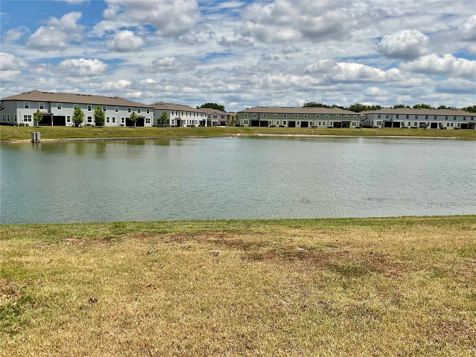 10380 LAVENDER ASTER TRL, SAN ANTONIO, FL, 33576