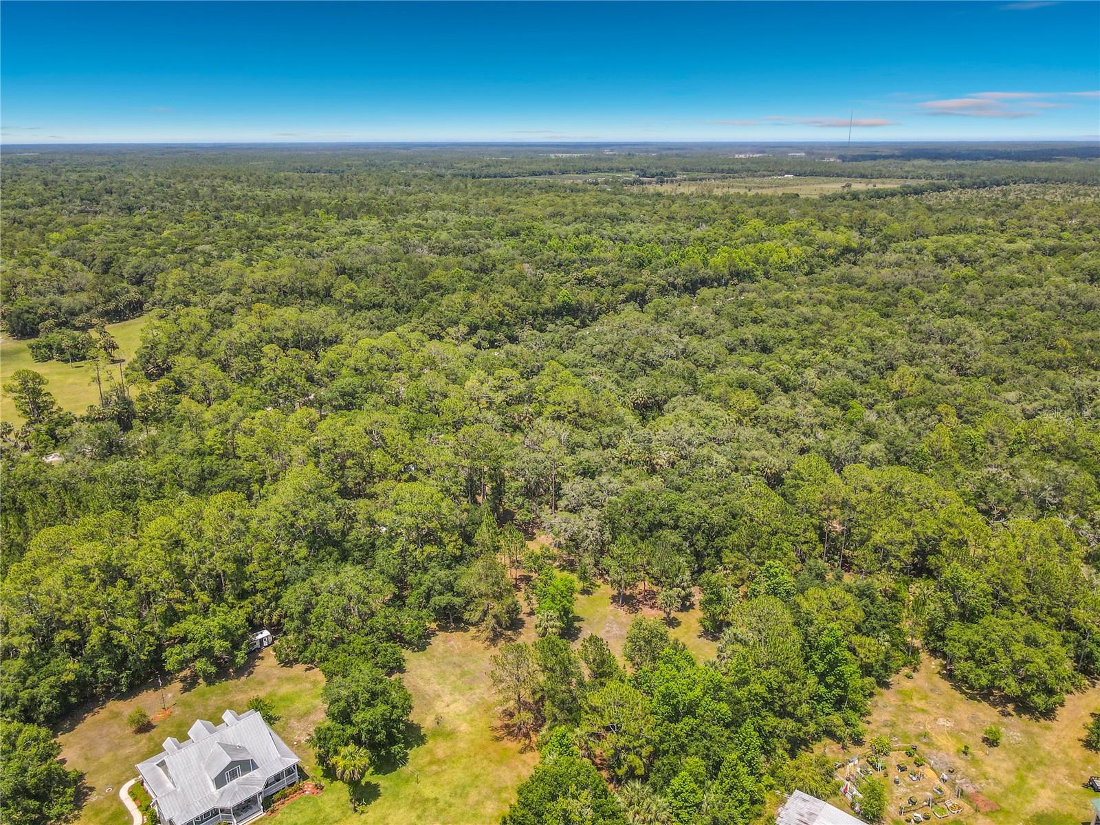 1395 MAYTOWN RD, OSTEEN, FL, 32764
