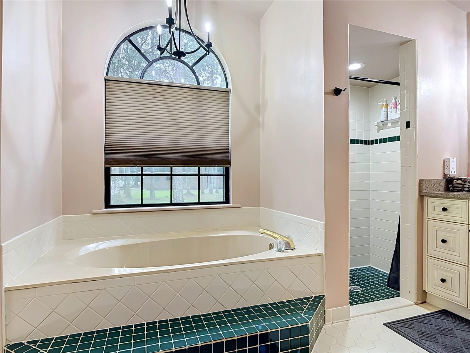 1395 MAYTOWN RD, OSTEEN, FL, 32764