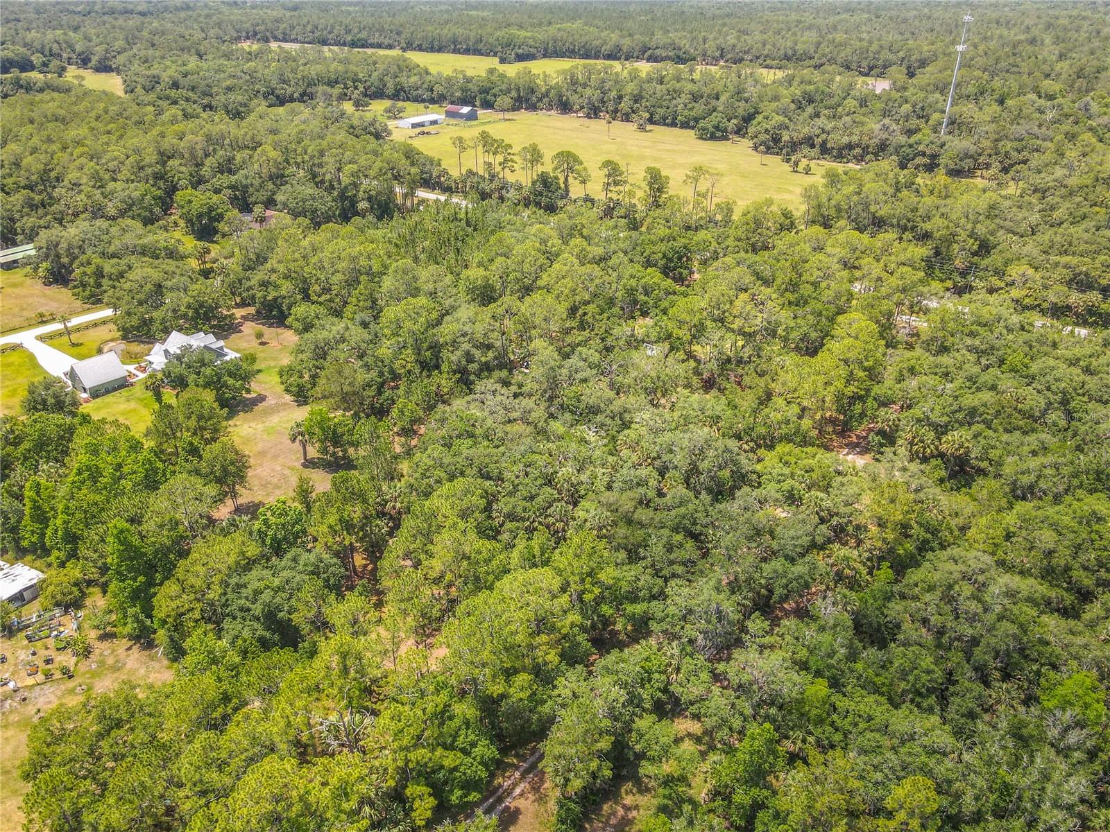 1395 MAYTOWN RD, OSTEEN, FL, 32764