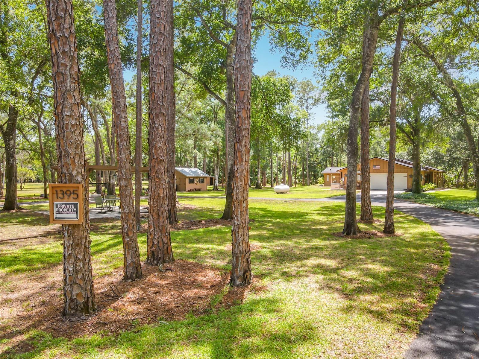 1395 MAYTOWN RD, OSTEEN, FL, 32764