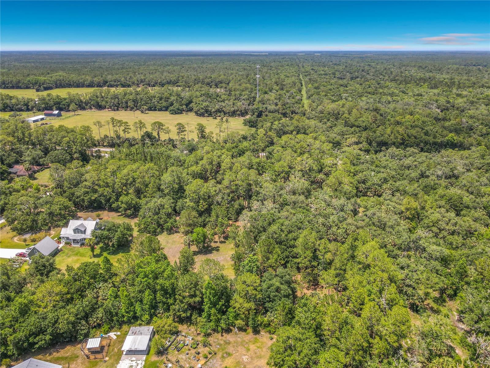 1395 MAYTOWN RD, OSTEEN, FL, 32764