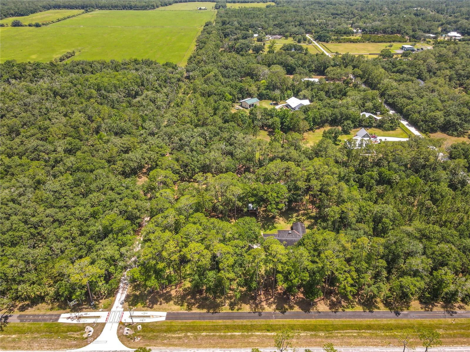 1395 MAYTOWN RD, OSTEEN, FL, 32764