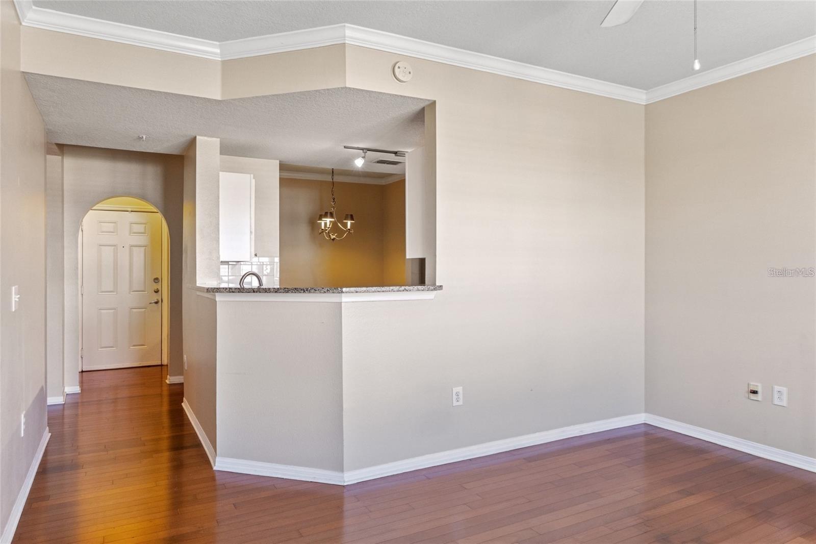 501 KNIGHTS RUN AVE #2213, TAMPA, FL, 33602