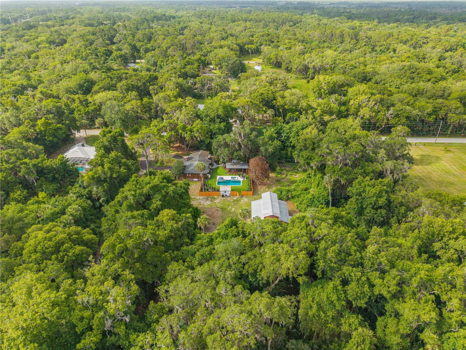 233 W ARIEL RD, EDGEWATER, FL, 32141