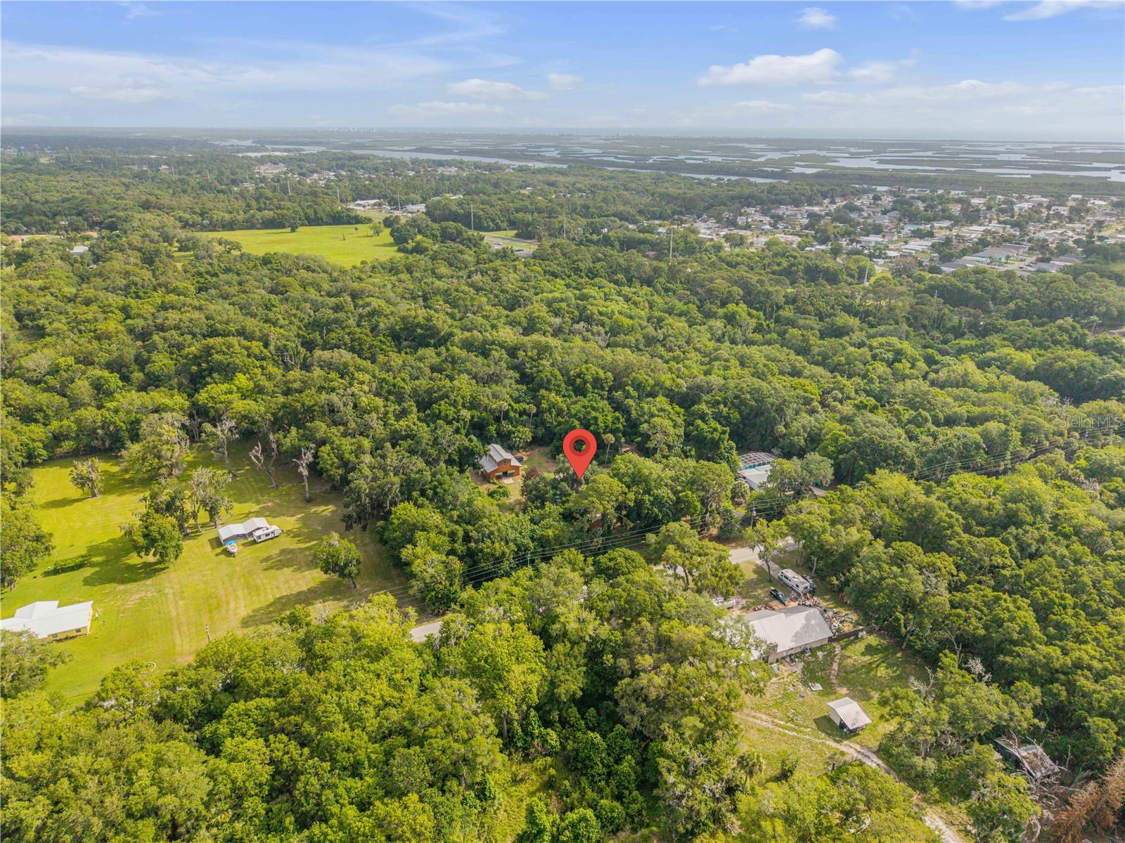 233 W ARIEL RD, EDGEWATER, FL, 32141
