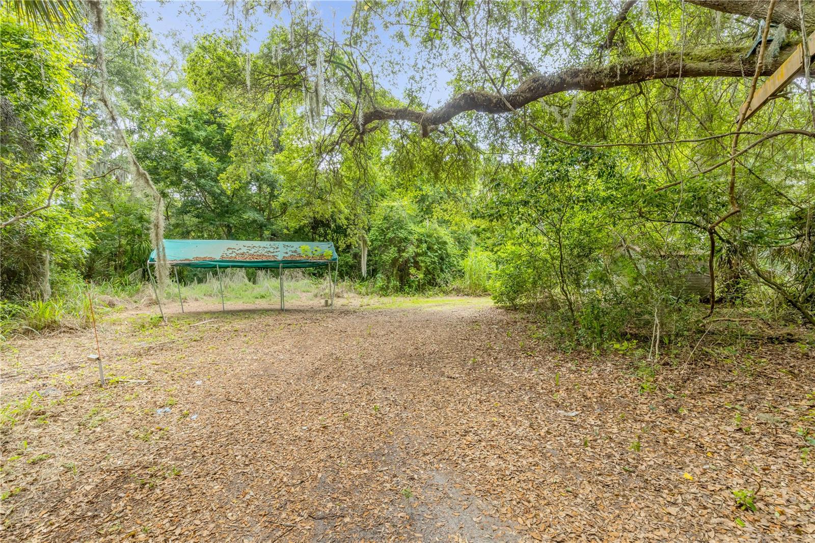 233 W ARIEL RD, EDGEWATER, FL, 32141