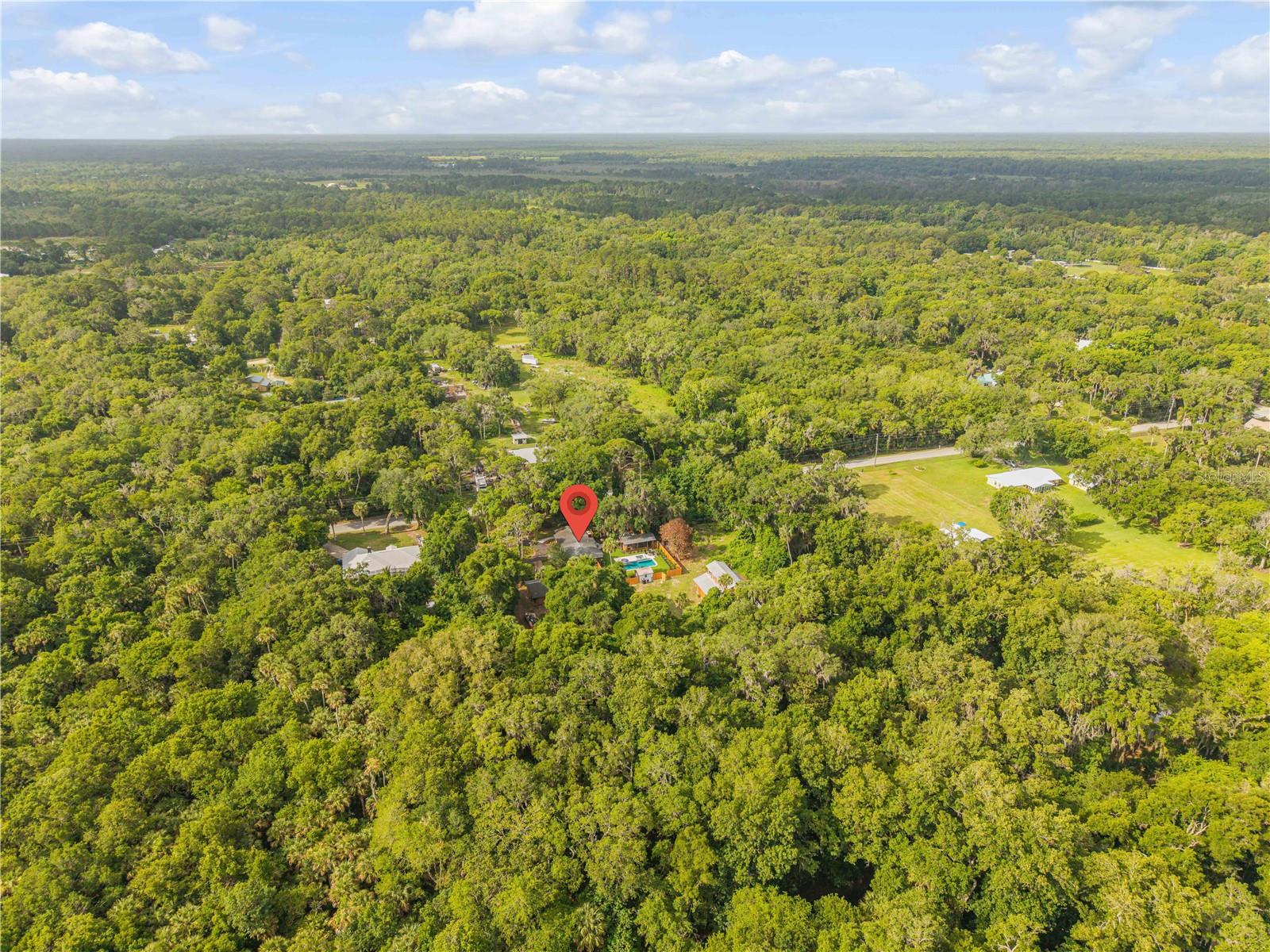 233 W ARIEL RD, EDGEWATER, FL, 32141