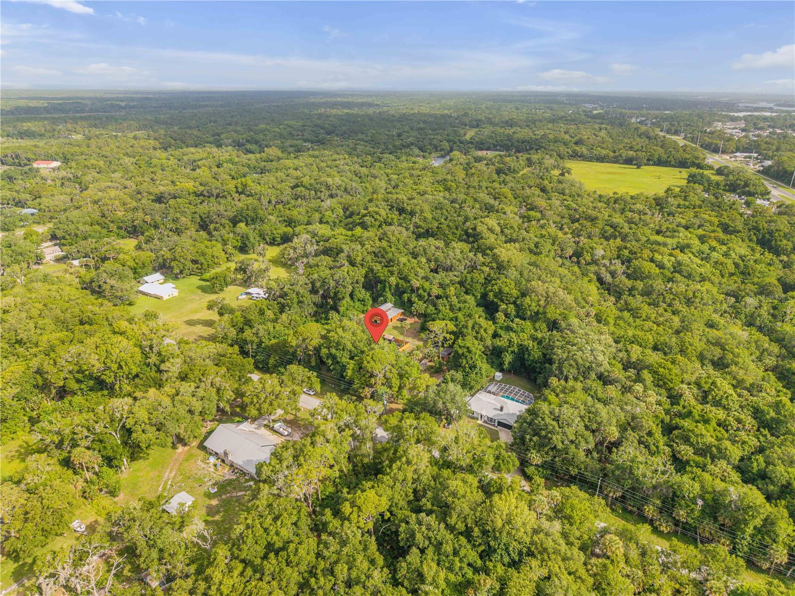 233 W ARIEL RD, EDGEWATER, FL, 32141