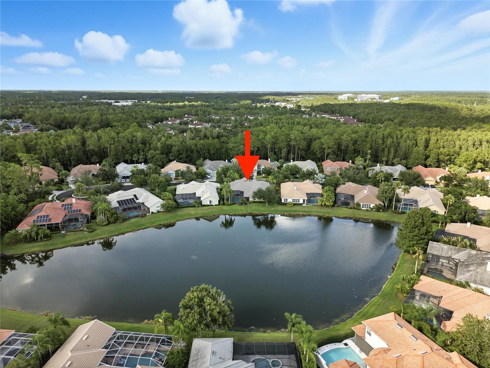 17210 BROADOAK DR, TAMPA, FL, 33647
