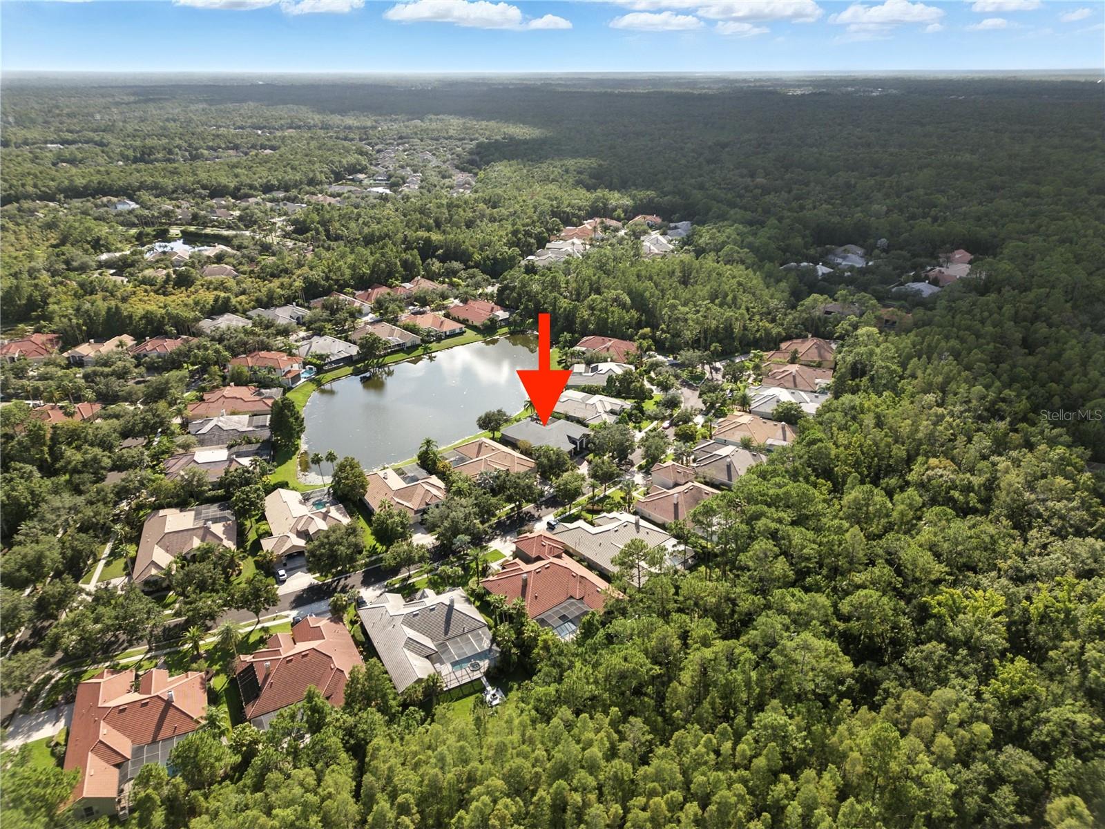 17210 BROADOAK DR, TAMPA, FL, 33647