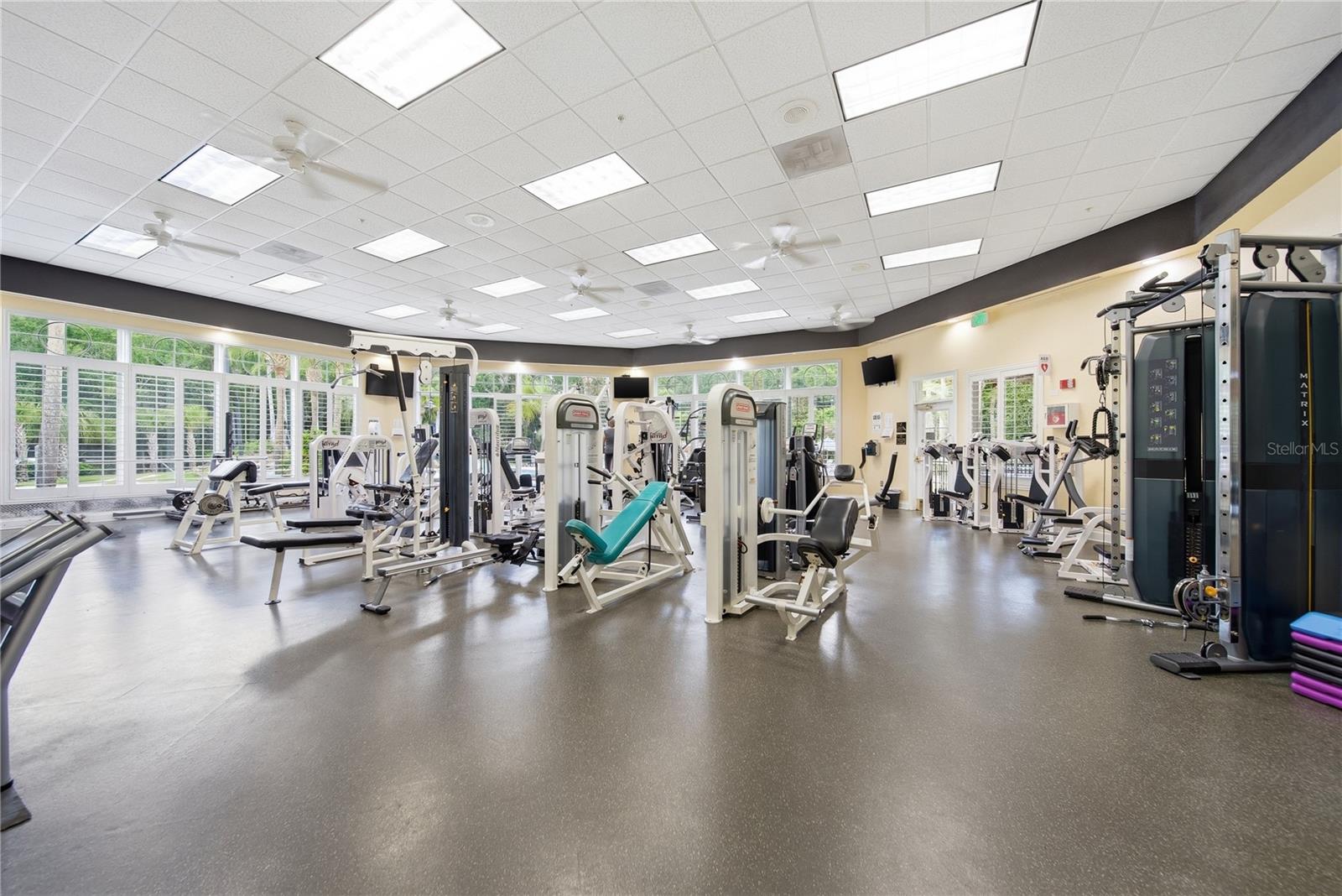 17210 BROADOAK DR, TAMPA, FL, 33647