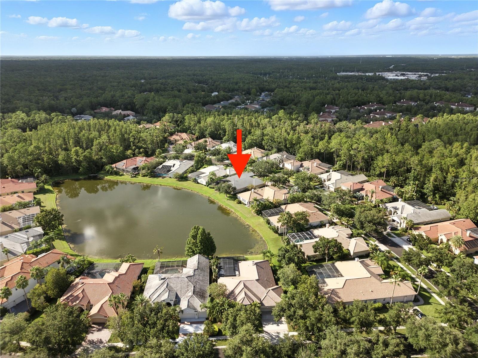 17210 BROADOAK DR, TAMPA, FL, 33647